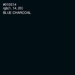 #010E14 - Blue Charcoal Color Image